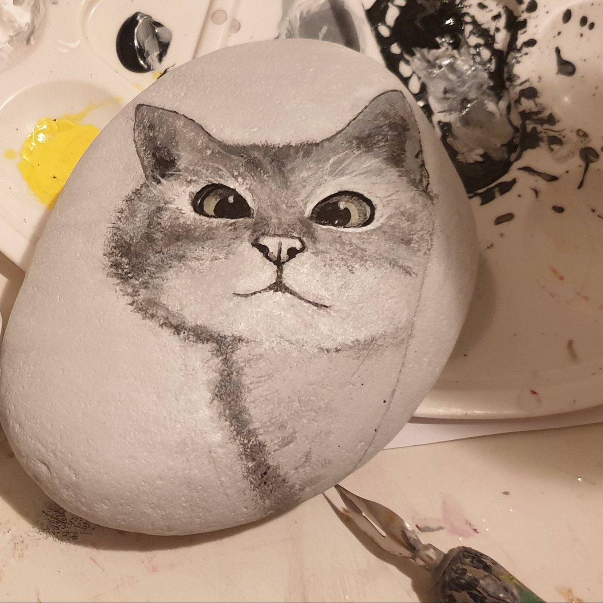 Malicieusement globuleux le regard du #chaton qui vient de naître à #mongaletdevendee