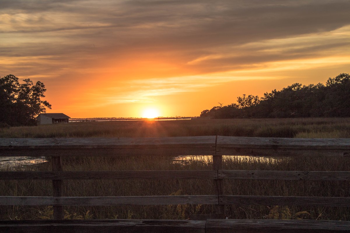 GulfIslandsNPS's tweet photo. On the third day of #WeekofThanks we are thankful for every Gulf Islands National Seashore sunrise and sunset.
Image of a sunset in Davis Bayou: NPS/Breault
#GulfIslandsNS #FindYourSunset #NationalParks https://t.co/95lM9Mk71V