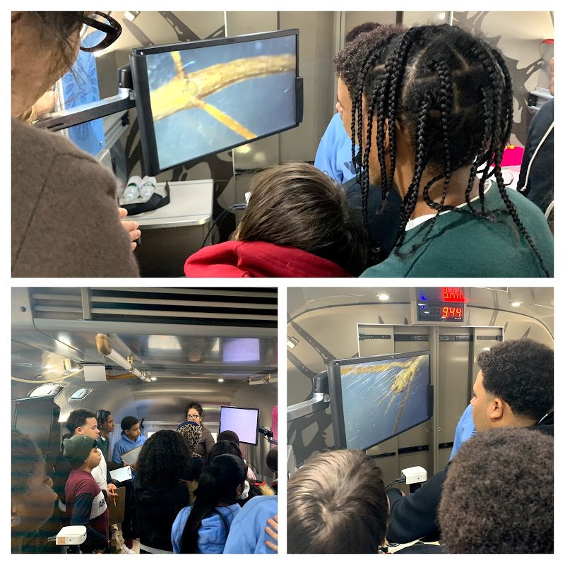 NSLA Scholars visit <a href="/BioBus/">BioBus</a> and examine insects under a microscope