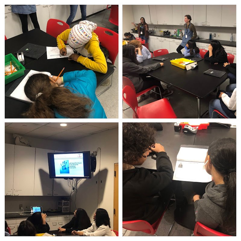 NSLA Scholars learning about forensics at the <a href="/nysci/">New York Hall of Science</a>
