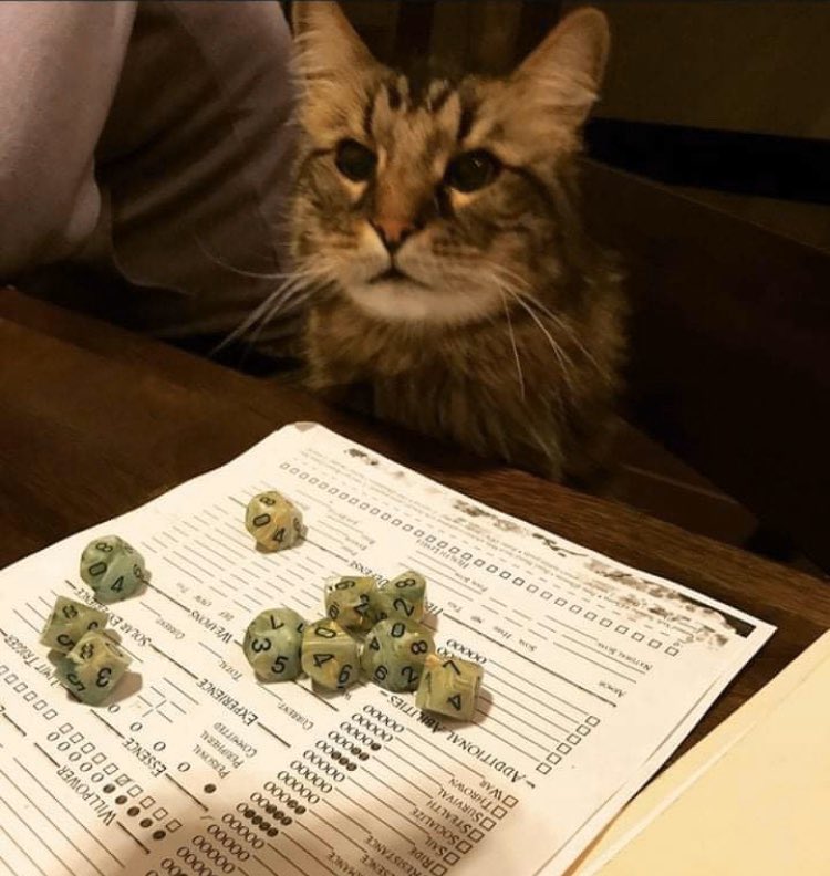 (Stolen from Facebook - but too good to ignore, so can’t take the credit for it).DM: ‘The wizard places a chalice on the table, filled with a strange smoking liquid. He cautions that this potion is incredibly dang—‘Cat: ‘I knock it over.’