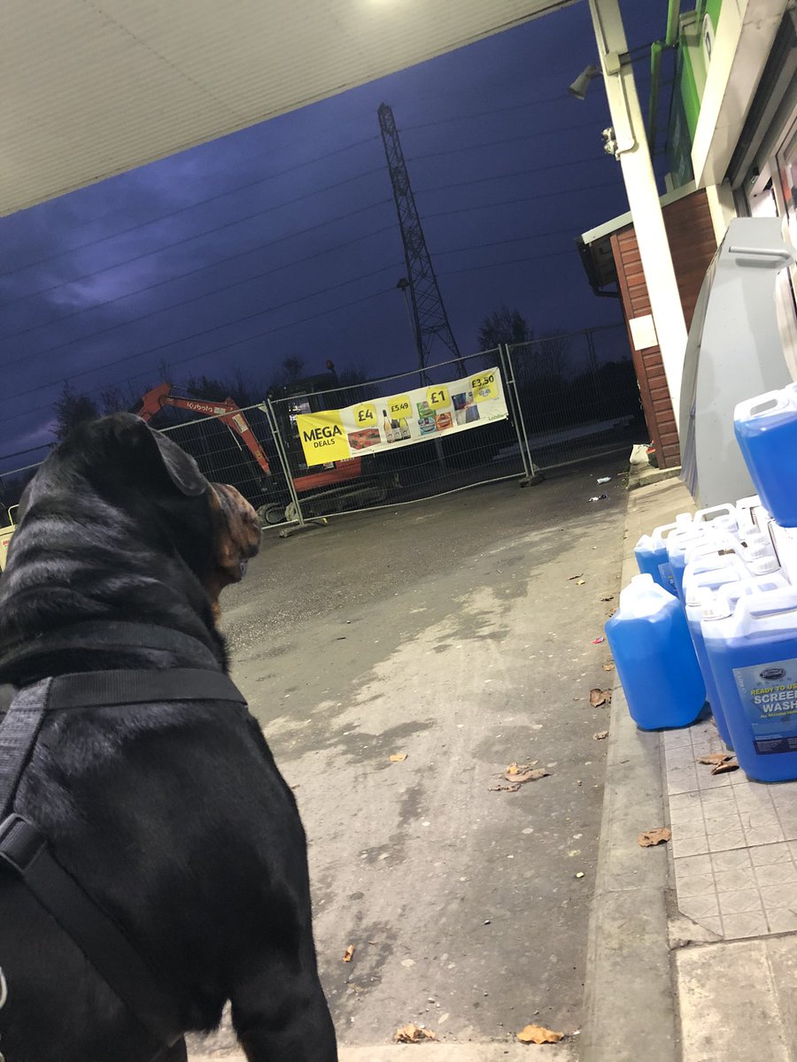 61. Little walks to the garage on the canal, he was very concerned when lee went into the shop and left him outside and let out a little cryHe’s the biggest baby I’ve ever met