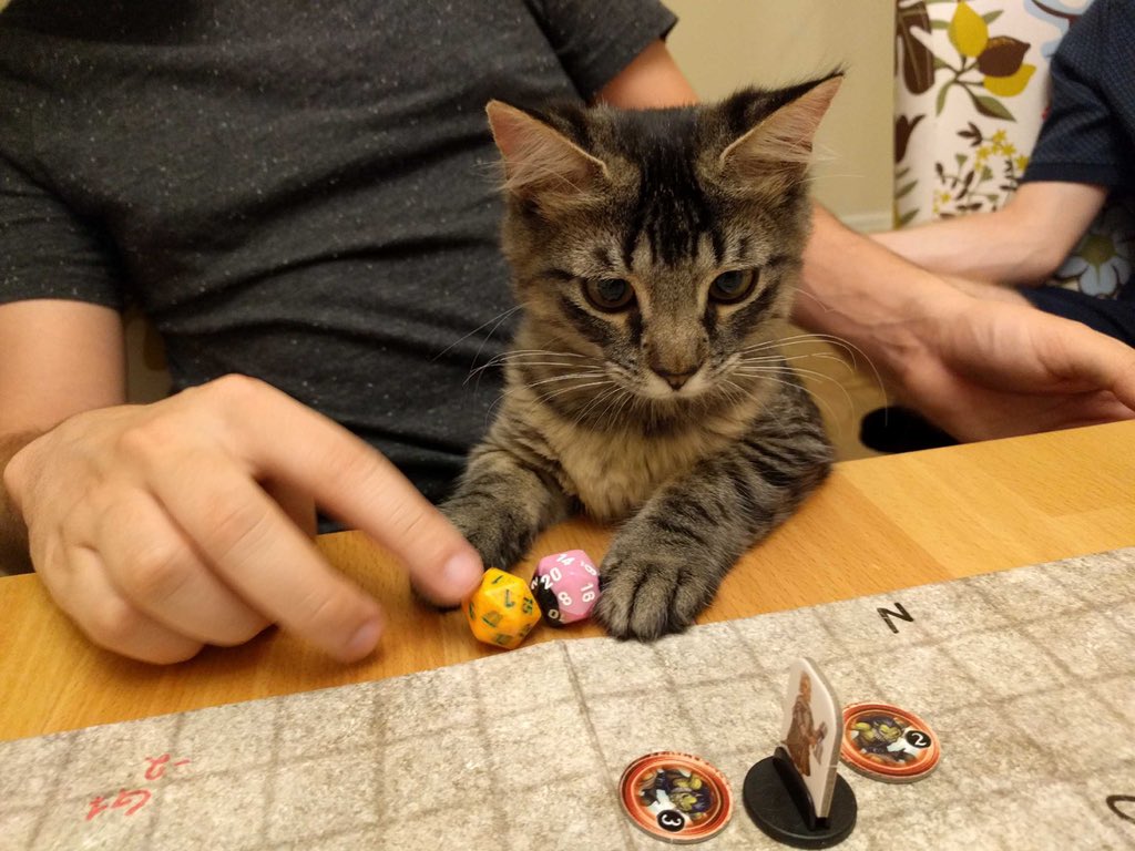 DM: ‘You party comes under attack from Goblin raiders - your Fighter is trying to hold back the ambush long enough for the rest of the party to escape. What are you going to do?’Cat: ‘I sit on his head’.