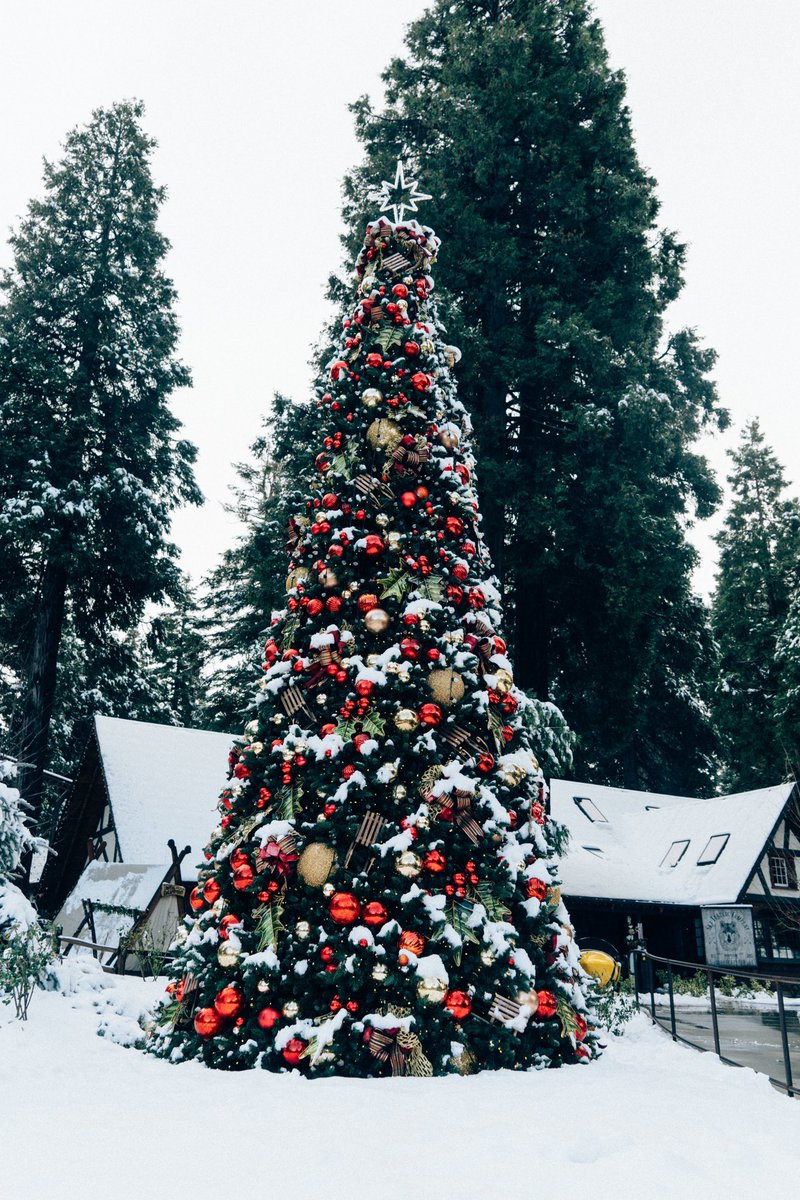 Jack Frost is at it again!! 🥶❄️ SkyPark at Santa’s Village will be CLOSED tomorrow, 11/27, due to the storm. Please note: We are also closed on Thanksgiving Day.