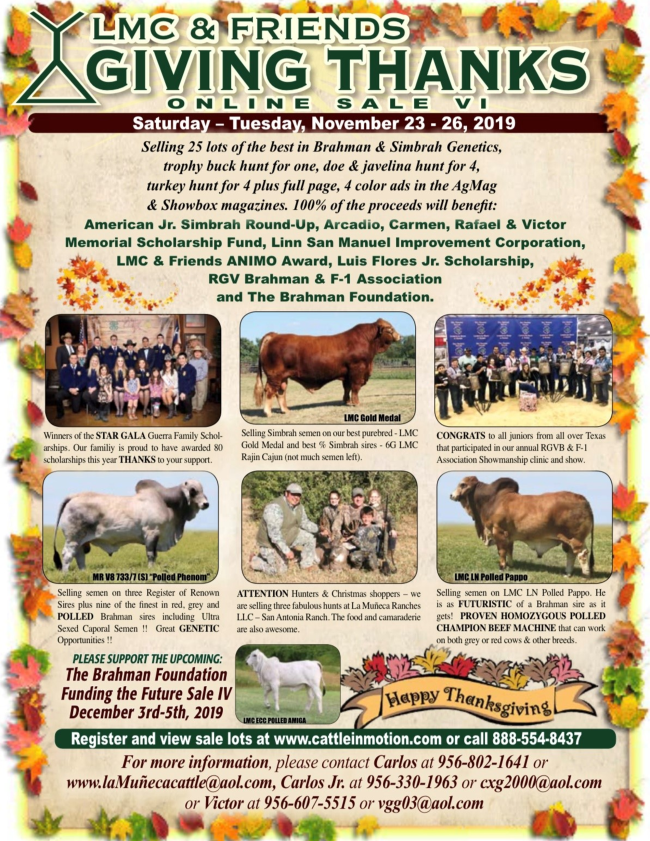 LMC &amp; Friends Giving Thanks Online Sale VI conta.cc/37PEXZg