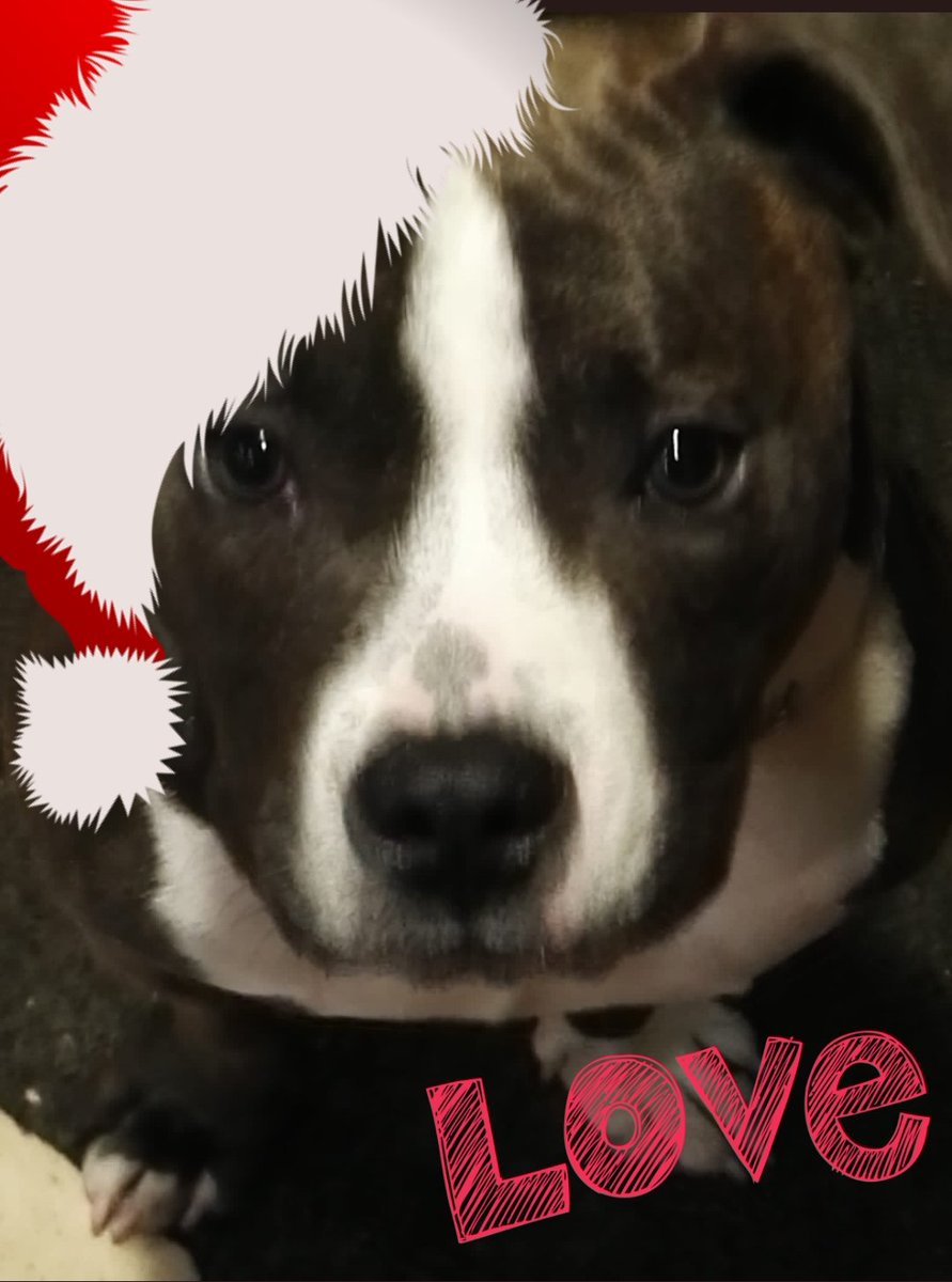 <a href="/Luis12433506/">OK. makey😌</a> <a href="/Mar7685/">Lorenz AB ⭐❤✨</a> <a href="/Leah2477/">Leah</a> <a href="/luzma04042407/">Luz Maria No MD ❌</a> @jacksquezada <a href="/amaliacarros/">Ami</a> <a href="/PepeRuano5/">Pepe Ruano</a> @Flopi_Jackson_ <a href="/gornajur/">Esther Hermoso</a> <a href="/pantroymunra/">Supr Capitán América</a> <a href="/Luna_Om90/">Luna</a> <a href="/AnaRosa48418222/">Ana Rosa</a> <a href="/MeteoroRanger/">Meteoro Ranger</a> <a href="/karamurat39/">karamurat</a> <a href="/solprytz/">Sol</a> <a href="/MayteMayte04041/">Mayte (@Mayte040424)</a> <a href="/edjlazar/">Eddie's🔁Retweet</a> <a href="/mamanina736/">Alejandra</a> Los buenos amigos, siempre están a tu lado en las buenas y en las malas... 💞

Linda noche amigos 🌼🌷👫🌷🌼 familia virtual de Twitter World 🌸🌟🌼👫🌼🌟🌸