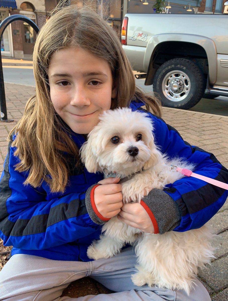 IvePetThatDog's tweet photo. I pet Faith. She is a 1 year old Teddy Bear dog. One of her favorite things to do is to crunch on empty water bottles. She also likes to get muddy. Her biggest adventure was meeting a new baby. They liked each other a lot. Her caregivers say that Faith brings joy to people. https://t.co/hnimjB9FCL