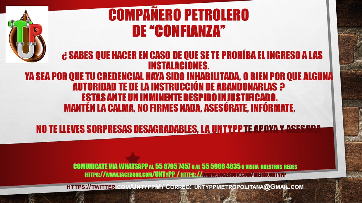 Untypp Metropolitana tweet media