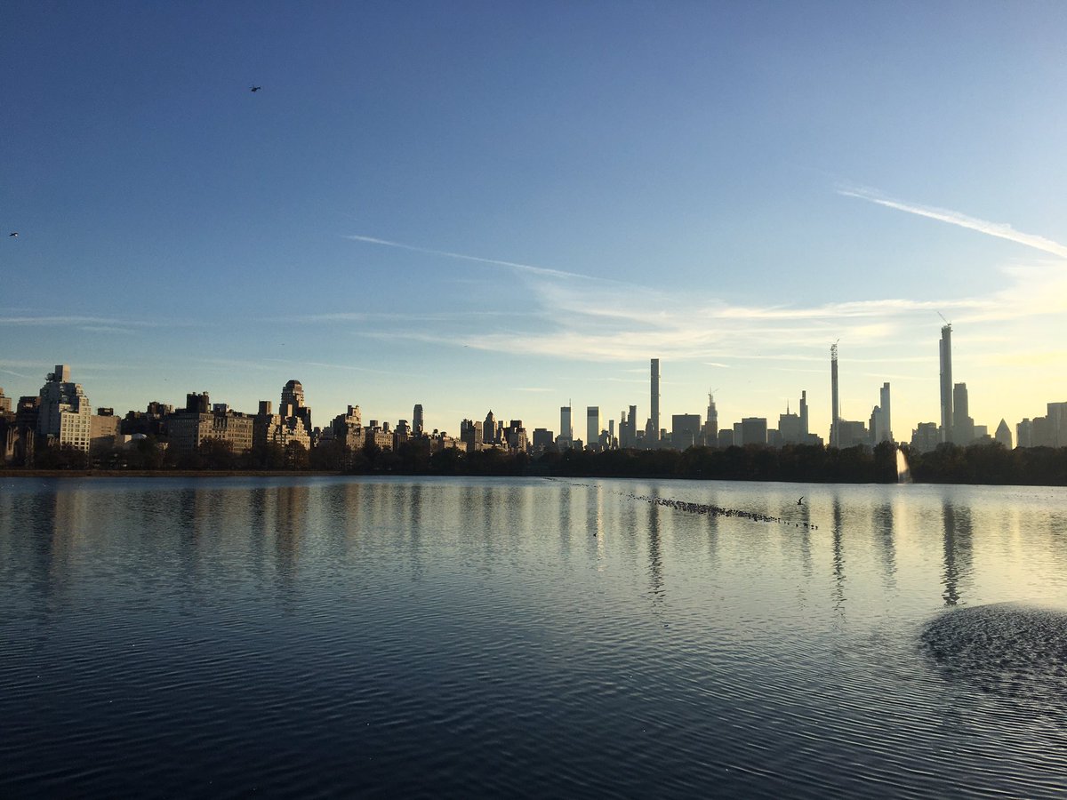 algrecu's tweet image. You think parks are only for druggies and runners and then you visit #CentralPark...