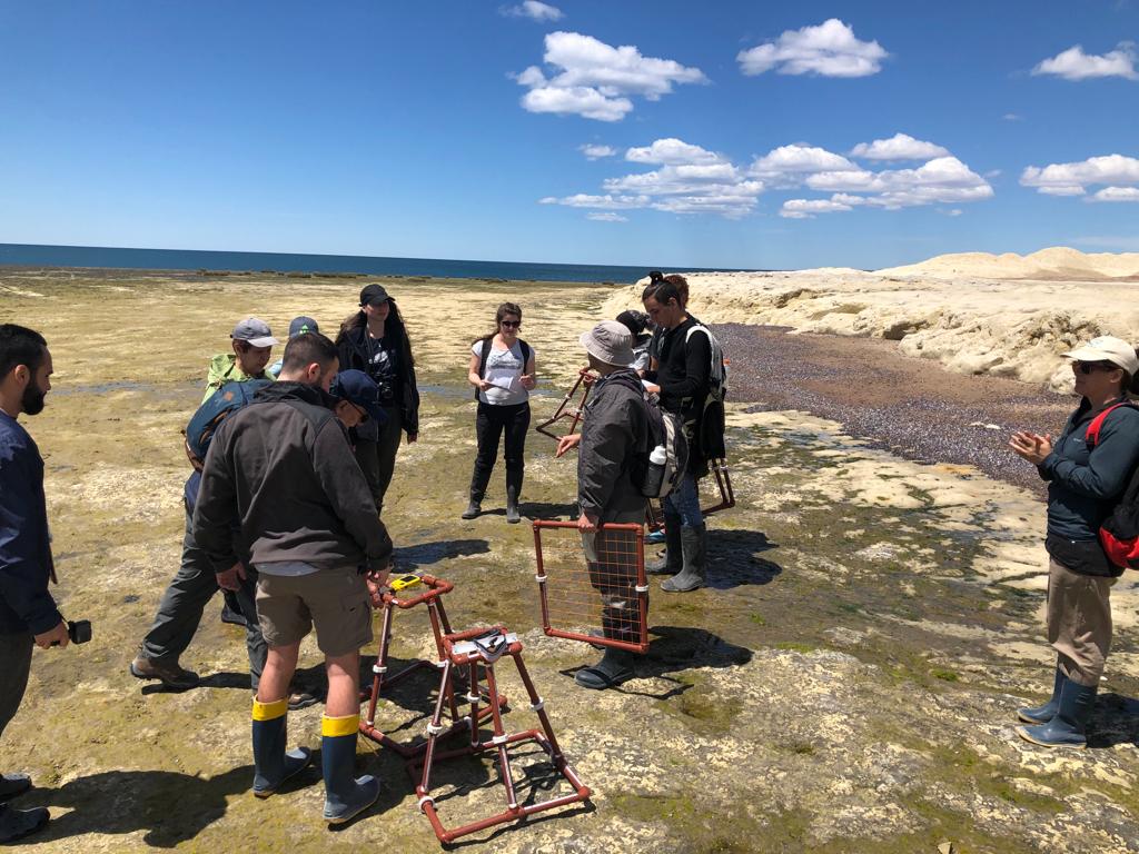 anacaroperalta's tweet photo. Sampling in rocky shores. Visual cuadrant vs fotocuadrant
#ocean #EssentialOceanVariables
#Argentina #cenpat #USB https://t.co/0T4JnURbWq