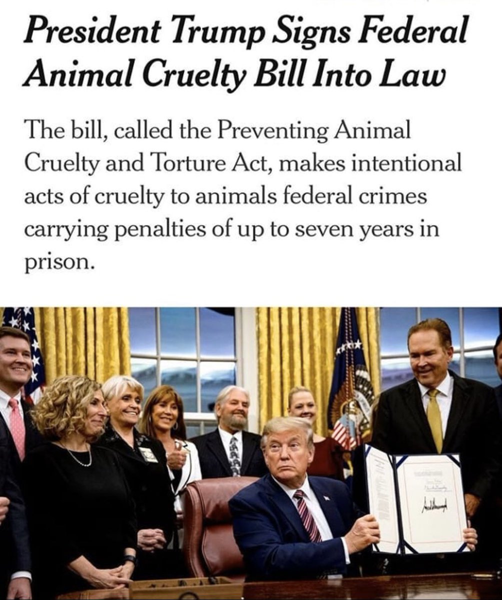 JoshuaBantolina's tweet photo. To all the Filipinos in America: you can’t eat dog now! 🤣🤣🤣🇵🇭 https://t.co/slV2aeoSsD