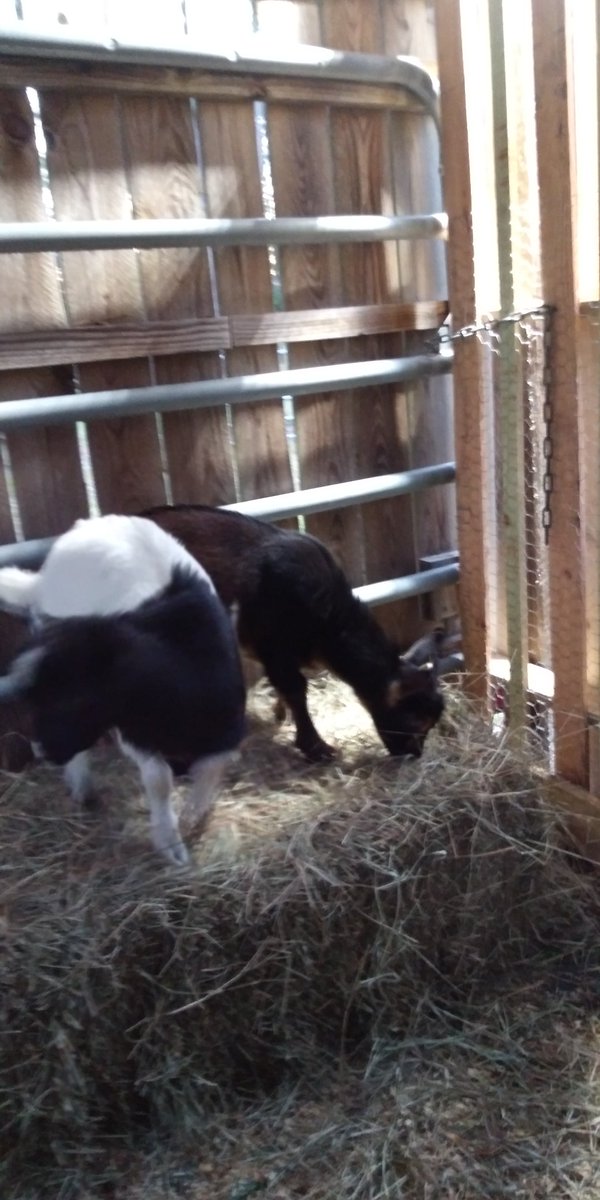 Mitchell Rice tweet media