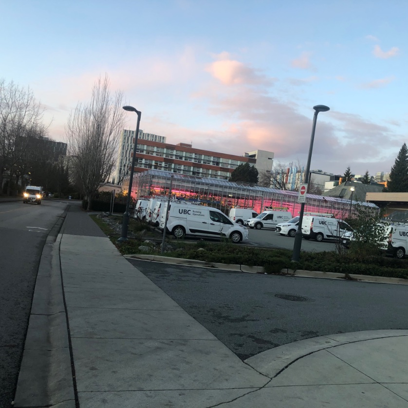 Katja_Thieme's tweet image. The sky! 

Cold daily walk from one of my offices to the other.

#UBC the afternoon before potential #TranslinkStrike. Still unsure whether my classes will be happening tomorrow. 

Look at the colours though! Feel the crisp air in your lungs! Spot the glowing tips of mountains!