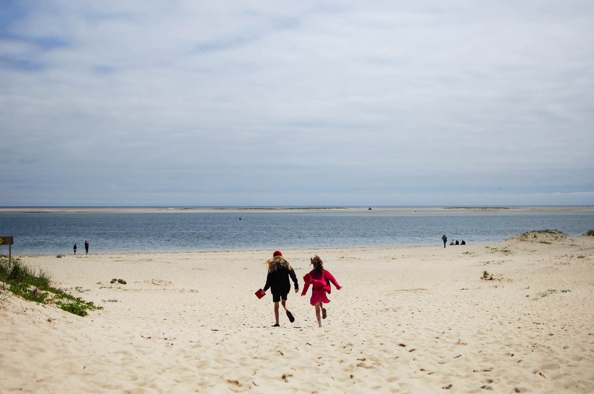 minitravellers's tweet photo. Four days of adventures on Cape Cod really were the perfect way to end our family holiday. https://t.co/DkL5gG795F @PicTakeMemMake https://t.co/RB1rkpP6hd