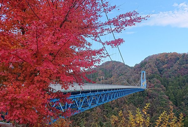 تويتر 茨城県 على تويتر 秋の茨城 竜神大吊橋 まもなく11月も終わりですが 竜神大吊橋の 紅葉 をご紹介 紅葉の 竜神大吊橋へぜひお越しください 11月26日撮影 T Co Eecycntkhf T Co Owkfytjz05