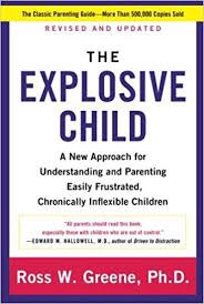 I had several people ask when I wrote the big parenting thread that went blew up on Facebook but my two parenting bibles are The Whole Brain Child by Daniel J. Siegel, MD and Tina Payne Bryson, PhD and The Explosive Child by Ross W. Greene, PhD