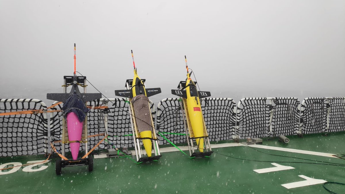 SCALExperiment's tweet photo. #SCALEbyNumbers @SOCCOgliders and @PolarGliders deployed 3 @KOGMaritime Seagliders with the help of @SeaTechServ to monitor the seasonal melting of sea ice and development of the spring phytoplankton blooms. So far they have done 635 dives since their deployment. https://t.co/vbO6QlCwTc