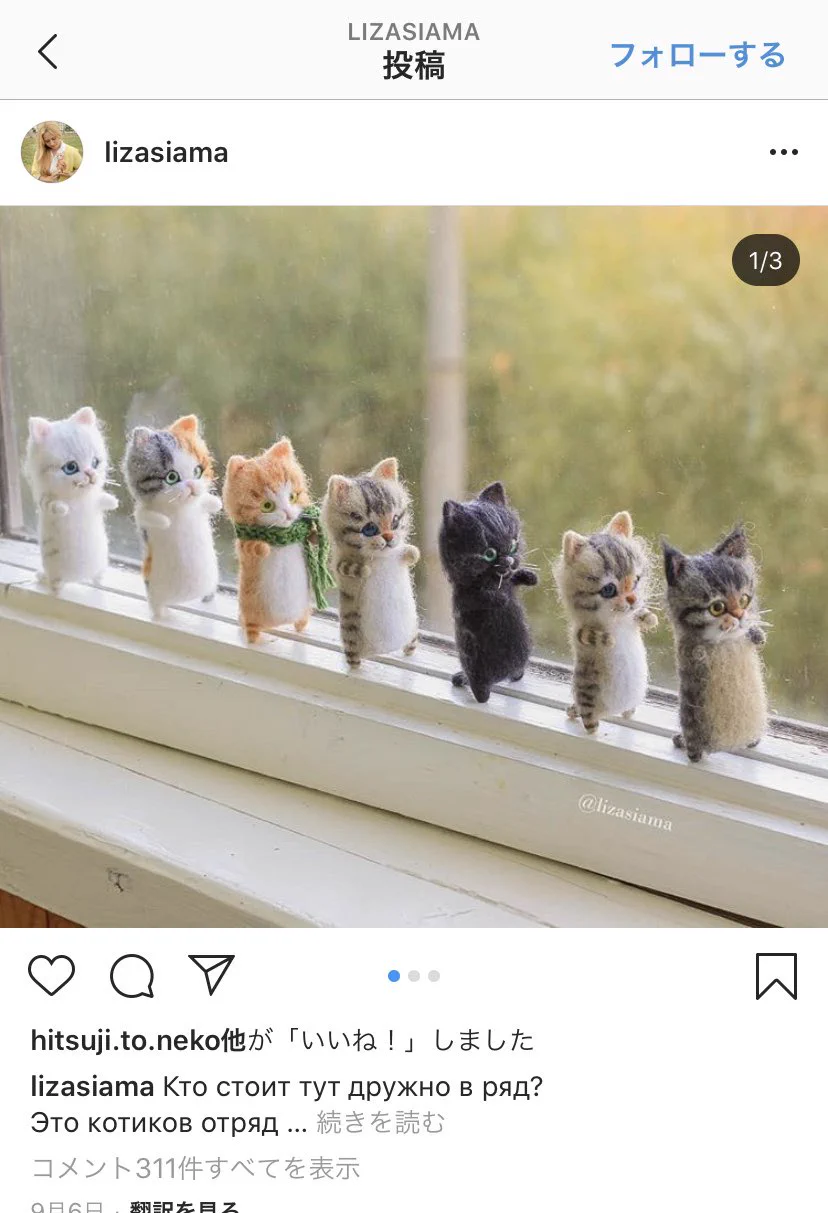 かわいすぎるｗｗロシア人の手工芸の猫！！