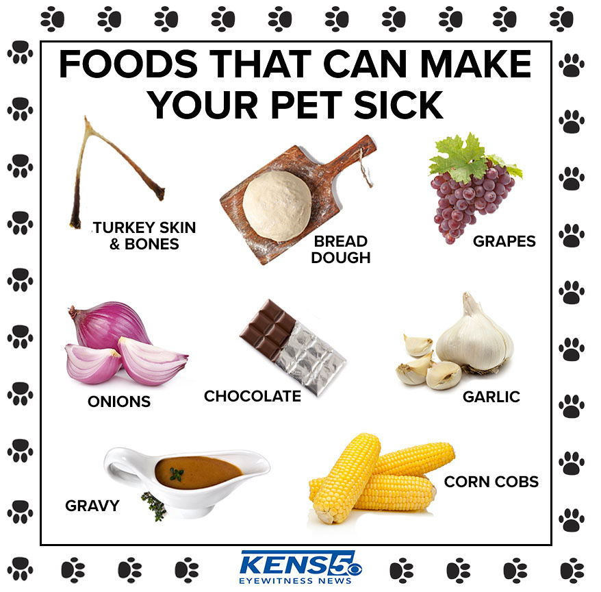 KENS5's tweet photo. Please spread the word! Our furry friends can't have ANY of these popular Thanksgiving treats! https://t.co/Zn0Tt3KPkC