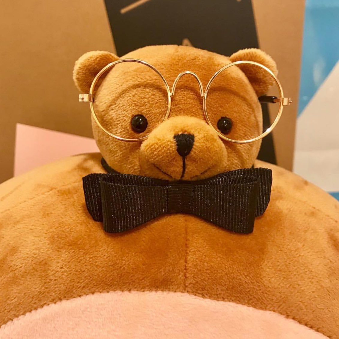 Do these glasses make Pip look smarter? She doesn’t need them, bears have excellent vision. 

And obviously exquisite taste in neckwear.  

Thank you to @tinyheaded_yung for this shot of Pip looking spiffy. #bowtie #glasses #PipTheBear #THK #tinyheadsbighearts #plush #toys