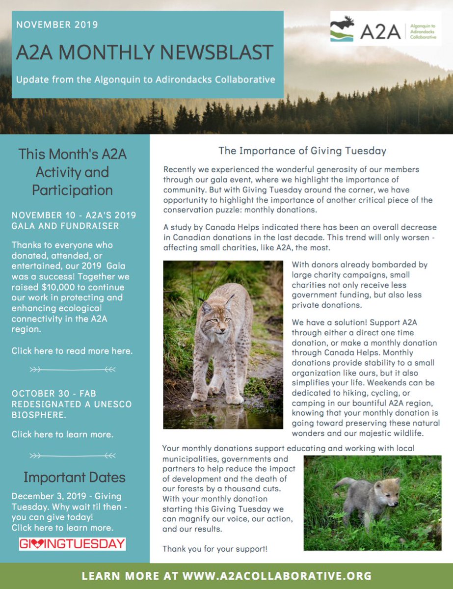 It's our A2A November Newsblast!
a2acollaborative.org/uploads/7/6/8/…