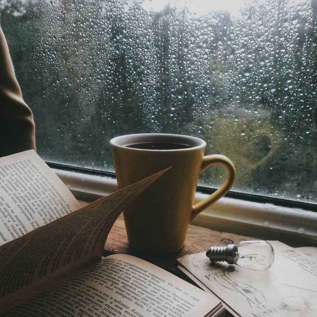 TheCoffeeSpirit's tweet photo. Hmmm...Its raining ! Winter is here. I need a coffee in my hand and watch the rain.
#raining #CoffeeBreak #itsraining #firstrain https://t.co/8y4JblRH2H