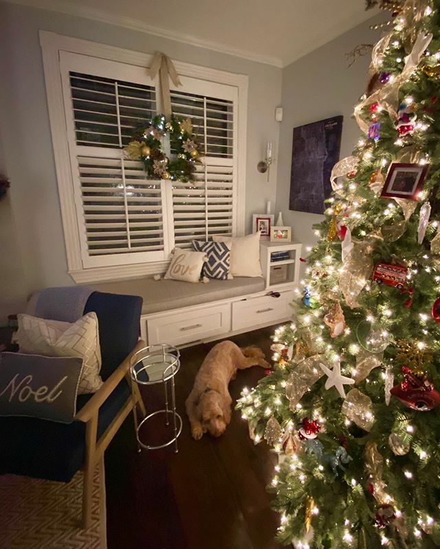 Holiday Dood 🦃🐾🎅🏻 #happythanksgivng #gobblegobble #merrychristmas #mostwonderfultimeoftheyear #christmasdoodle #chicagodoodles #goldendoodlesofinstagram ift.tt/2QTMrUV