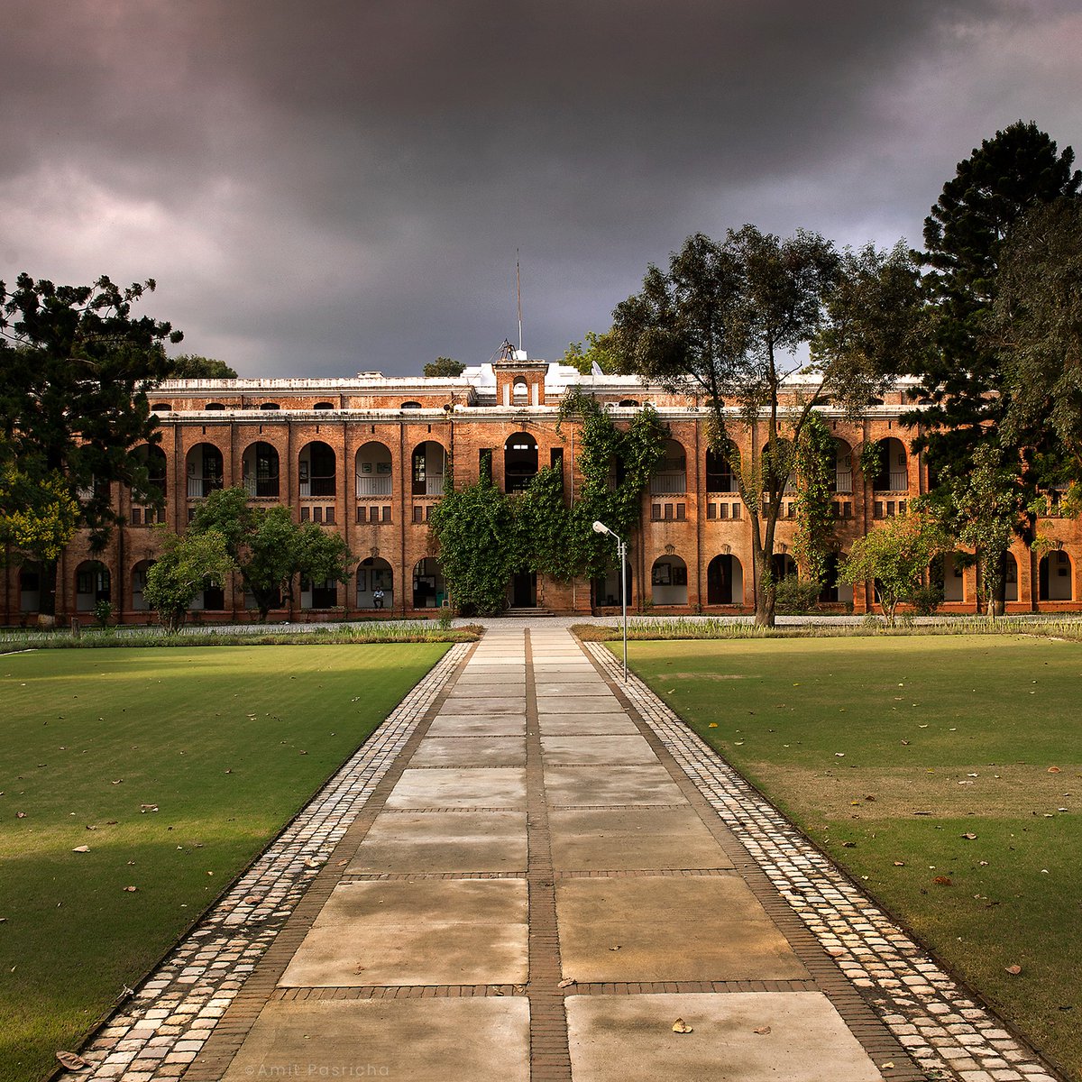 India Lost and Found: Amit Pasricha tweet media