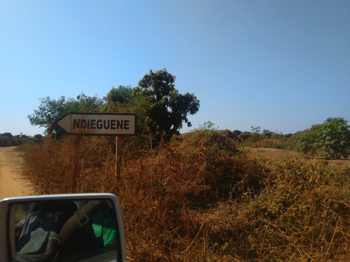 abaithiagro's tweet photo. Installation de clôture pour le compte d'un client à Ndiéguène !

Jusqu'au 31 Décembre 2019, profitez de cette offre exceptionnelle que @abaithiagro vous propose pour clôturer votre champ :

👇👇👇👇👇👇👇👇👇👇👇👇👇👇👇👇 https://t.co/BEcL8w2bhN