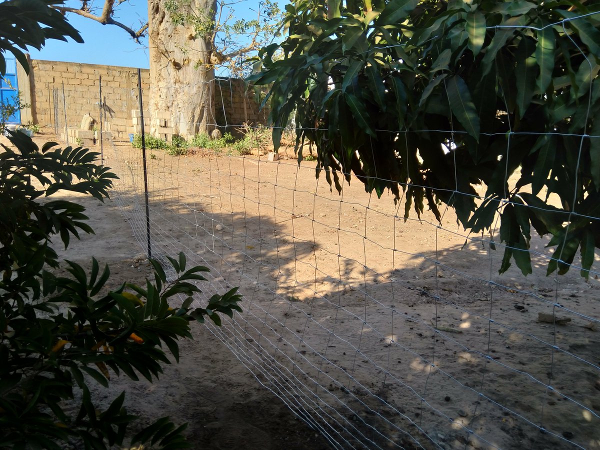 Installation de clôture pour le compte d'un client à Ndiéguène !

Jusqu'au 31 Décembre 2019, profitez de cette offre exceptionnelle que <a href="/abaithiagro/">Abaïthi Africa AgroBusiness</a> vous propose pour clôturer votre champ :

👇👇👇👇👇👇👇👇👇👇👇👇👇👇👇👇