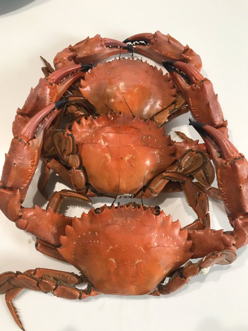 気がついたら茹でられてたんご… 