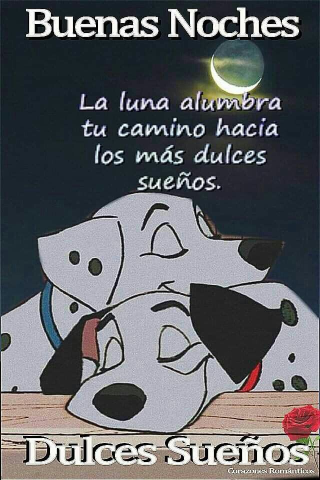 <a href="/PepeRuano5/">Pepe Ruano</a> <a href="/Luis12433506/">OK. makey😌</a> @Flopi_Jackson_ @MARIA16656264 <a href="/DonnaBrent10/">DonnaBrent</a> <a href="/luzma04042407/">Luz Maria No MD ❌</a> <a href="/Mar7685/">Lorenz AB ⭐❤✨</a> <a href="/gornajur/">Esther Hermoso</a> <a href="/pantroymunra/">Supr Capitán América</a> <a href="/Luna_Om90/">Luna</a> <a href="/AnaRosa48418222/">Ana Rosa</a> <a href="/MeteoroRanger/">Meteoro Ranger</a> <a href="/karamurat39/">karamurat</a> <a href="/solprytz/">Sol</a> <a href="/MayteMayte04041/">Mayte (@Mayte040424)</a> <a href="/edjlazar/">Eddie's🔁Retweet</a>