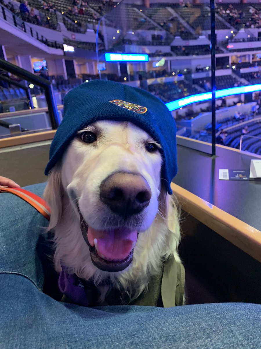 SadDadCj's tweet image. @pawsthemusic the boy says #pawspick2