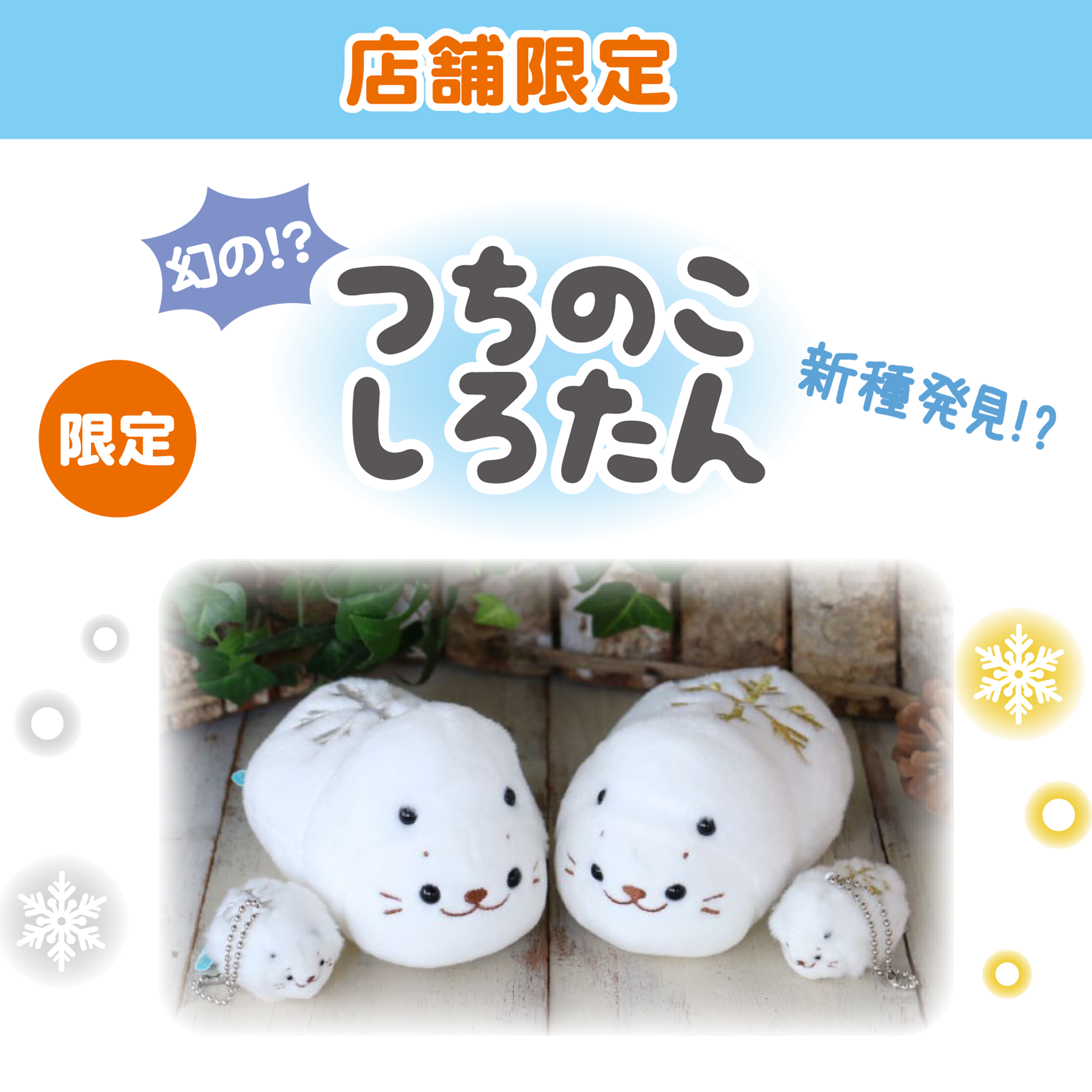 しろたん on X: しろたん on X: