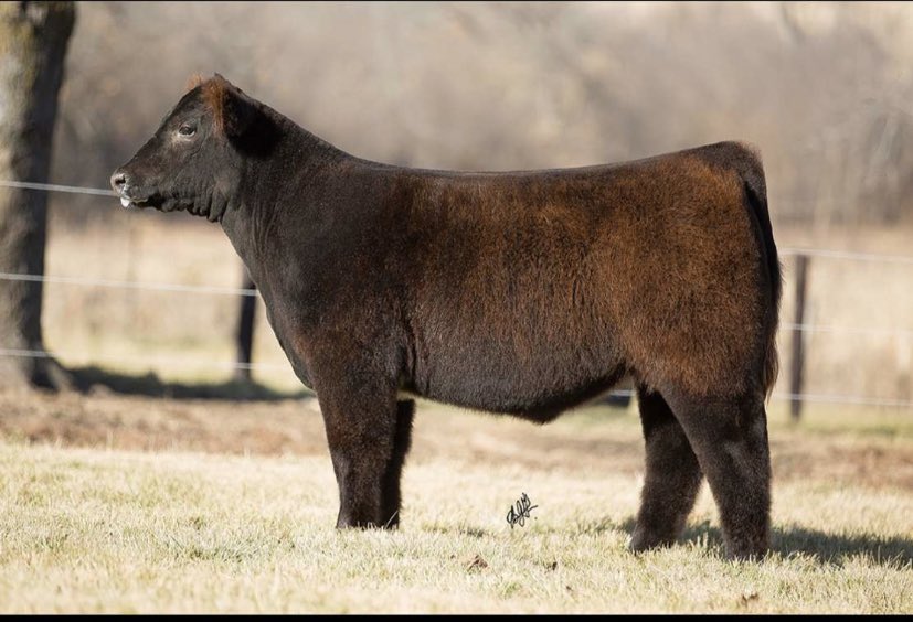 No one at all: 

Me: