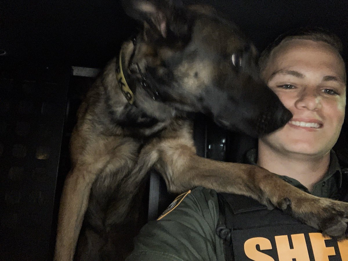 WCSOFL's tweet image. “Dad, LOOK! The sign says HOT NOW!”

K-9 Colt is on the road tonight with his partner in solving crime Deputy Avery. 🚔♥️🐾

Have a great first shift you two!

#K9 | #WCSOK9 | #K9Colt | #LESM