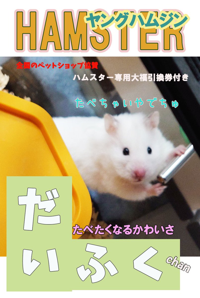 お待たせして申し訳ありません - Search / X