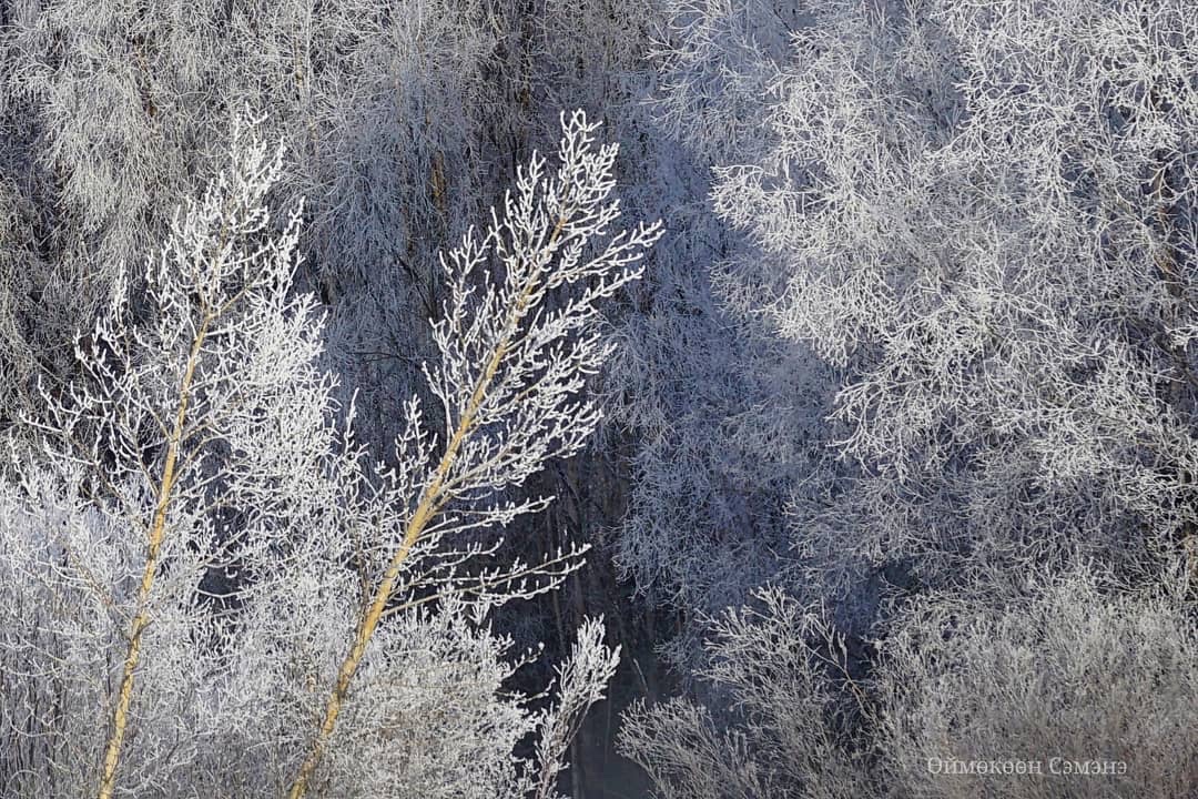 siberian_times's tweet photo. -41C today in Oymyakon, one of the coldest permanently inhabited villages on Earth (with some nice hot springs to bath in winter). All pictures by Semyon Sivtsev https://t.co/datOs1TAD2