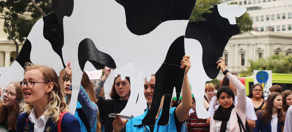 NZ milk could be carbon neutral today, found an <a href="/OurLandandWater/">Our Land and Water</a> study modelling changes to a typical Waikato dairy farm. The formula: Feed cows more maize, modestly reduce stock numbers, shrink fertiliser use and buy carbon offsets. newsroom.co.nz/@pro/2019/11/2… (<a href="/NewsroomNZ/">Newsroom</a> Pro)