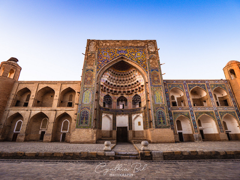 Journal of Nomads tweet media