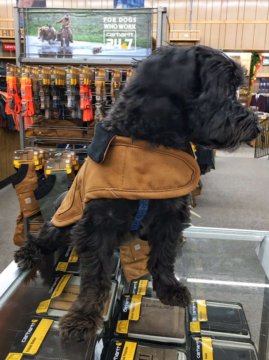 If you are a fan of Carhartt clothing AND you love dogs...you will love our newest arrival! Carhartt Dog Gear is now in stock!  Collars, leashes, harnesses, dog beds, nap pads, blankets, toys, &amp; chore coats for your pup...all with that classic Carhartt label! #carhartt
