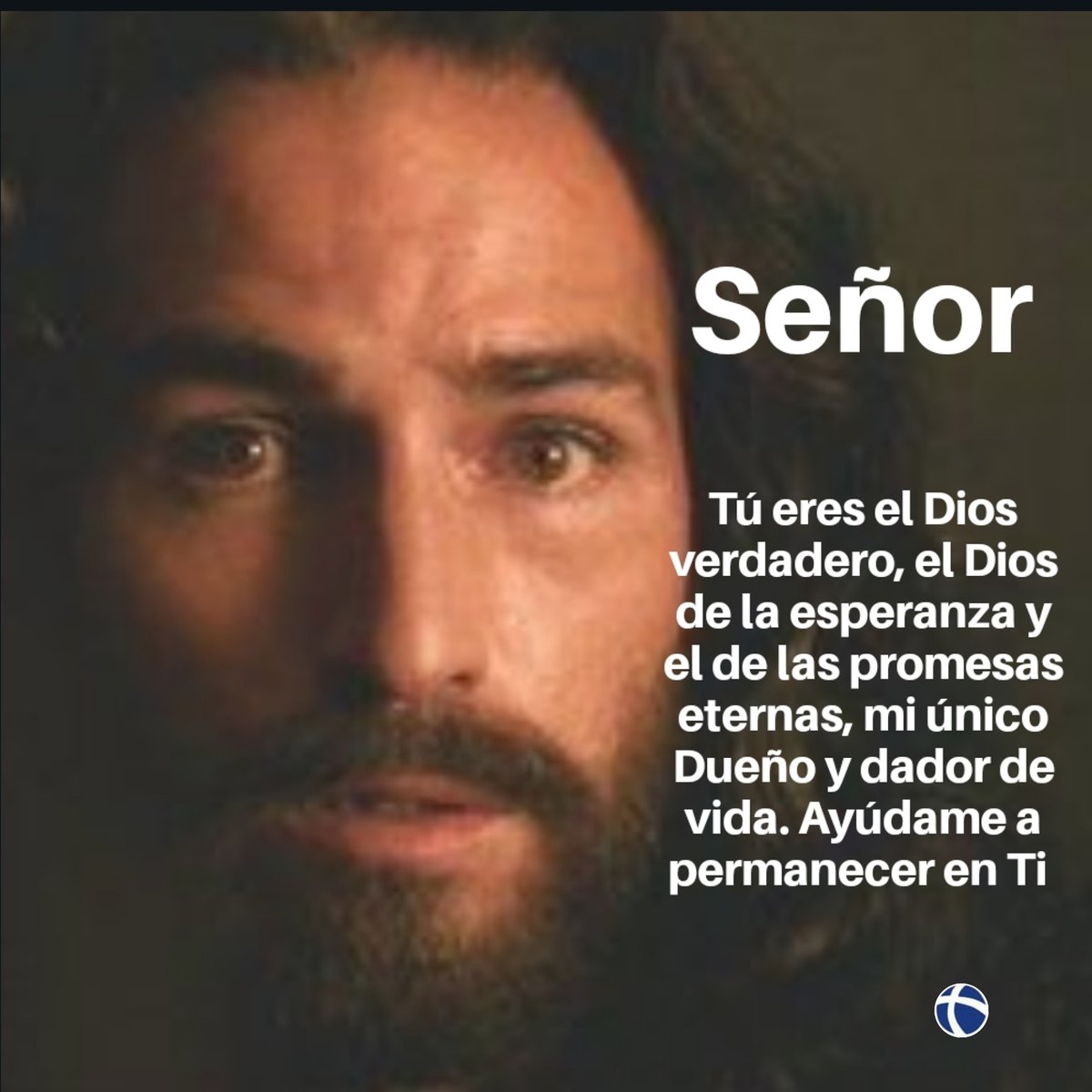 giannileonardis's tweet photo. Que no encuentre límites nunca para dar hasta lo que no tengo con tal de hacer obras agradables a Ti.
#buenasnoches #buonanotte #allshot #instagram #evangelio #mcbo #maracaibo #venezuela #señor #diosesamor #divinemercy #PCatolicVen2019 #yorezoxti #noviembre #10añosdePCatolic https://t.co/14RMZoRww4