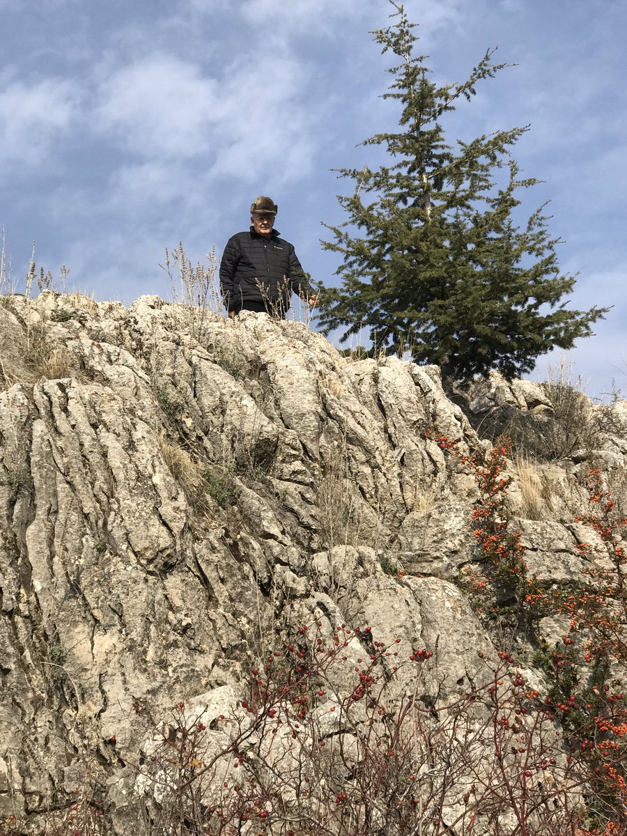 ahmet_iyimaya's tweet photo. Kayayı del,toprak doldur,mini sedir dik;kökler salgı ile taştan yol açıp toprakla buluşsun ve gelecek yüzyılların #AnıtAğaç ‘ları dünyaya gelmiş olsun!
Sevda ve azim!
Allah’ıma bin şükür....
#İyimayaBotanik #Ağaç #Ormam #Fidan #Toprak #Çöl #Kaya https://t.co/4HZ54XduLz