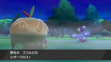 ポケモン剣 盾 新特性 じゅくせい の詳細効果について Pocket Line ポケットライン