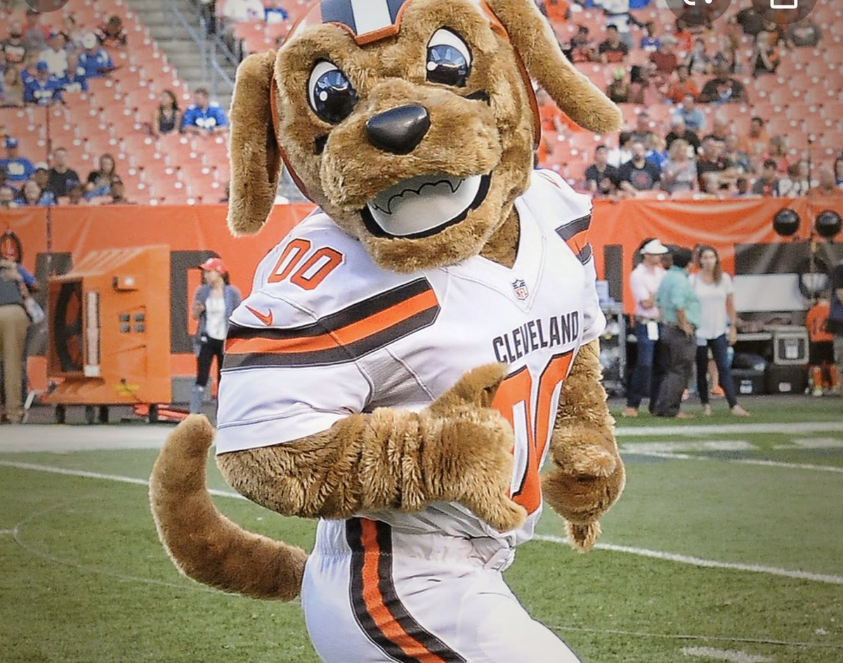 Totally agree! Animal mascots are bad! This poor creature has to watch a pathetic team every Sunday! #notcool #AnimalCruelty