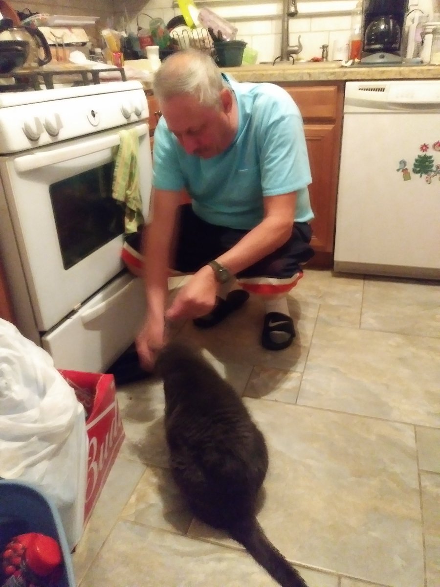 SmoothSoupy's tweet photo. #brotherlylove #nyccats #ADOPT #CatsOfTwitter #cat photo one us #cuddling. Photo 2 #catboxes #photo3 #mrsmoothie #photo4 gg with #uncle #spunky. #fortheloveofcats https://t.co/GbNtCrSRod