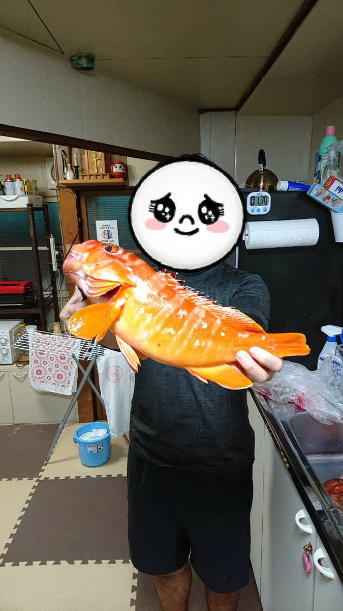 縁場 せいじら 尾鷲市九鬼町ゲストハウス もみほぐし Twitterren 最近釣りに行ってなかったのでお客様と私の秘蔵ポイントに行って来ました やっぱりあそこは良く釣れますね 次回は水温次第ですがオオモンハタを狙いに行きましょう 三重 尾鷲 九鬼 魚釣り 縁場 せいじら 尾鷲市九鬼町ゲストハウス もみほぐし Twitterren 最近釣りに行ってなかったのでお客様と私の秘蔵ポイントに行って来ました やっぱりあそこは良く釣れますね 次回は水温次第ですがオオモンハタを狙いに行きましょう 三重 尾鷲 九鬼 魚釣り