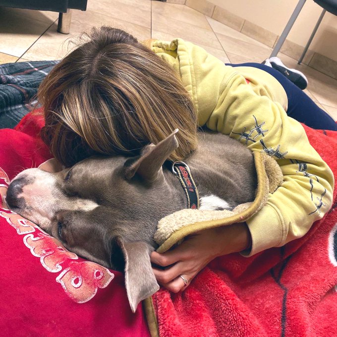 Goodbye Thor, thank You for letting Me hold You until You took Your last breath. You are the apple of<a href="/tag/findom"class="tags"><span>#findom</span></a><a href="/tag/findomme"class="tags"><span>#findomme</span></a>