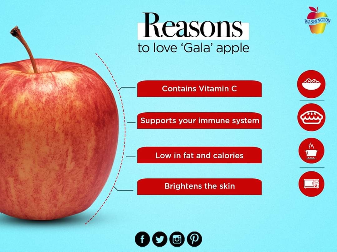 Gala Apple Information and Facts