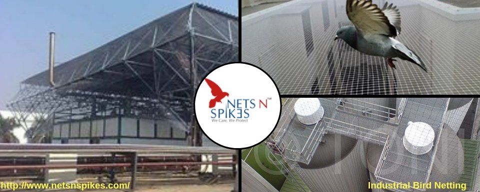 We, Nets n Spikes offers you the technologically advanced bird menace solutions in bird proofing your residence and office with the Bird Spikes and pigeon spikes.
netsnspikes.com/bird-spikes.php

#Pune #Bangalore #Delhi #Mumbai #Chennai #pigeonspikes #protection #netsnspikes #birdspikes